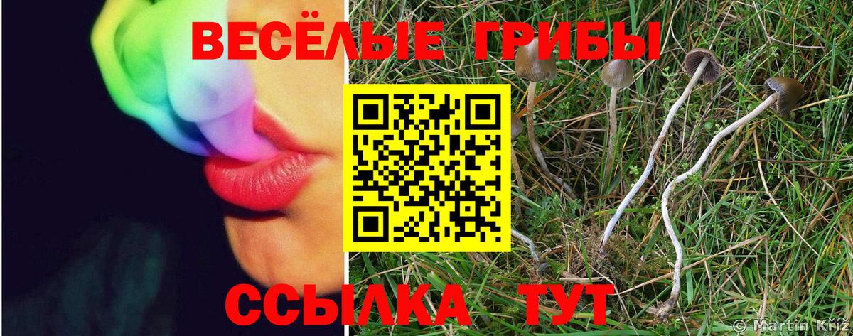 наркотики  Галлюциногенные грибы MAGIC MUSHROOMS  Вход с VPN  Псилоцибиновые грибы MAGIC MUSHROOMS  Беслан 